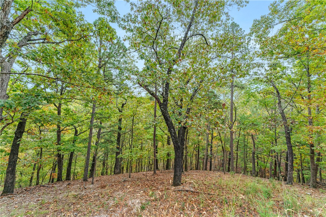 Riley & Armstrong - Land