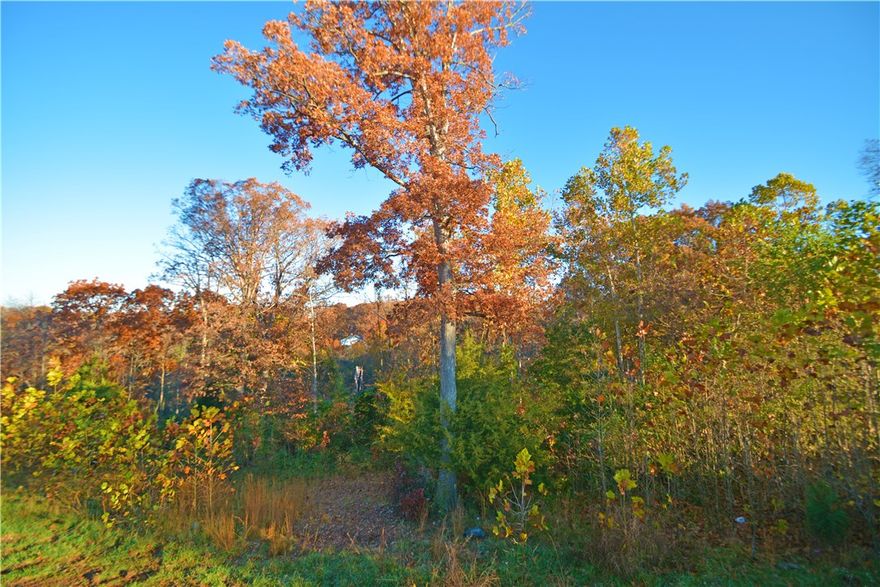 Lots 1-48 Elm Valley