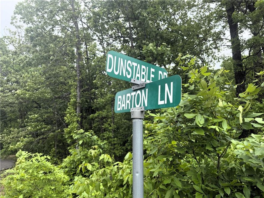 A rare Bella Vista .30 acre, level, corner lot that already has a perc test for a 3 bedroom home. 340 feet of lateral line is needed for a three bedroom home per the perc test. Perc test is attached to MLS and in pics. This buildable lot sits on a corner in a small private cul-de-sac and backs up to common land, so you will have privacy. Close to the bike trails, golf, Lake Ann and evverything Bella Vista has to offer for the outdoor enthousiast.