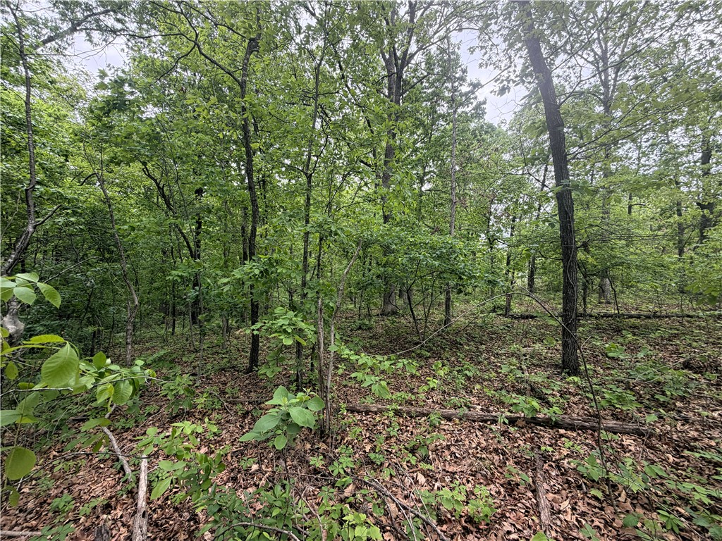 Bedford Sub Bvv - Land