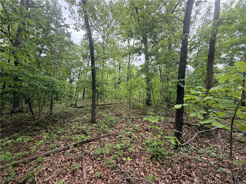 Bedford Sub Bvv - Land