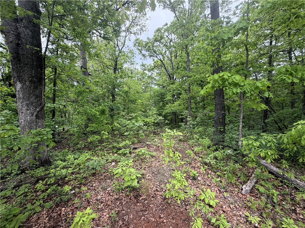 Bedford Sub Bvv - Land