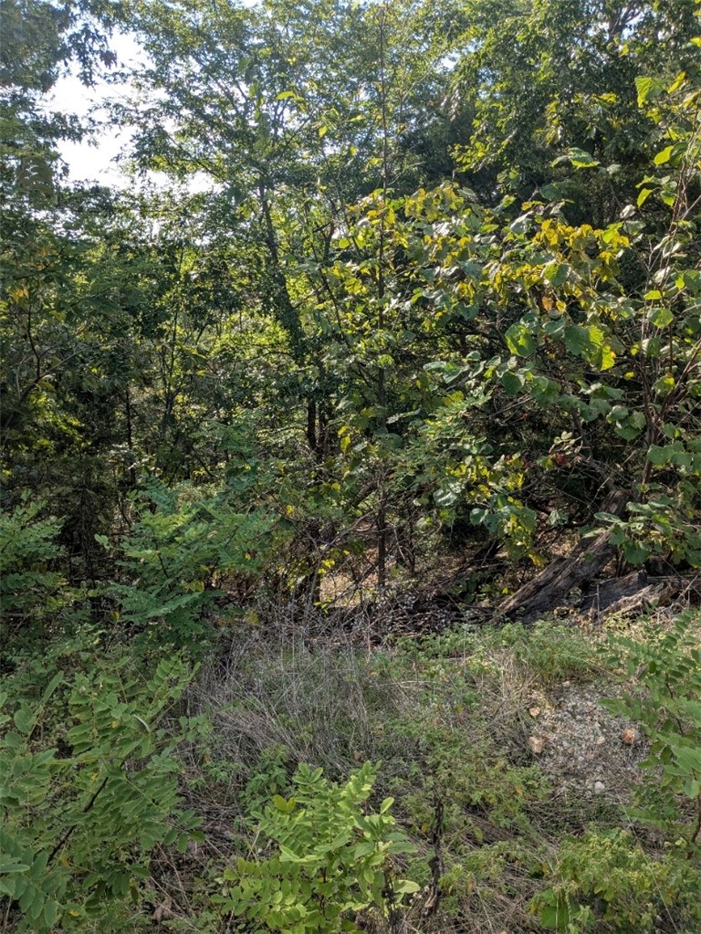 Unit 8 Holiday Island - Land