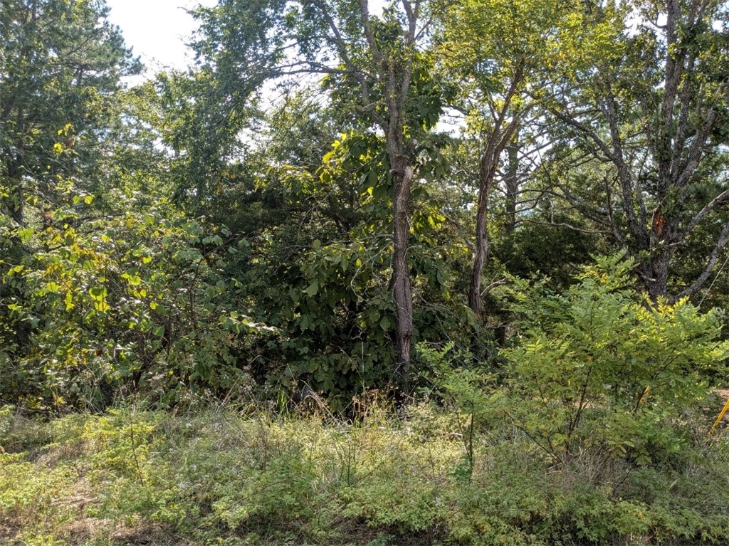 Unit 8 Holiday Island - Land