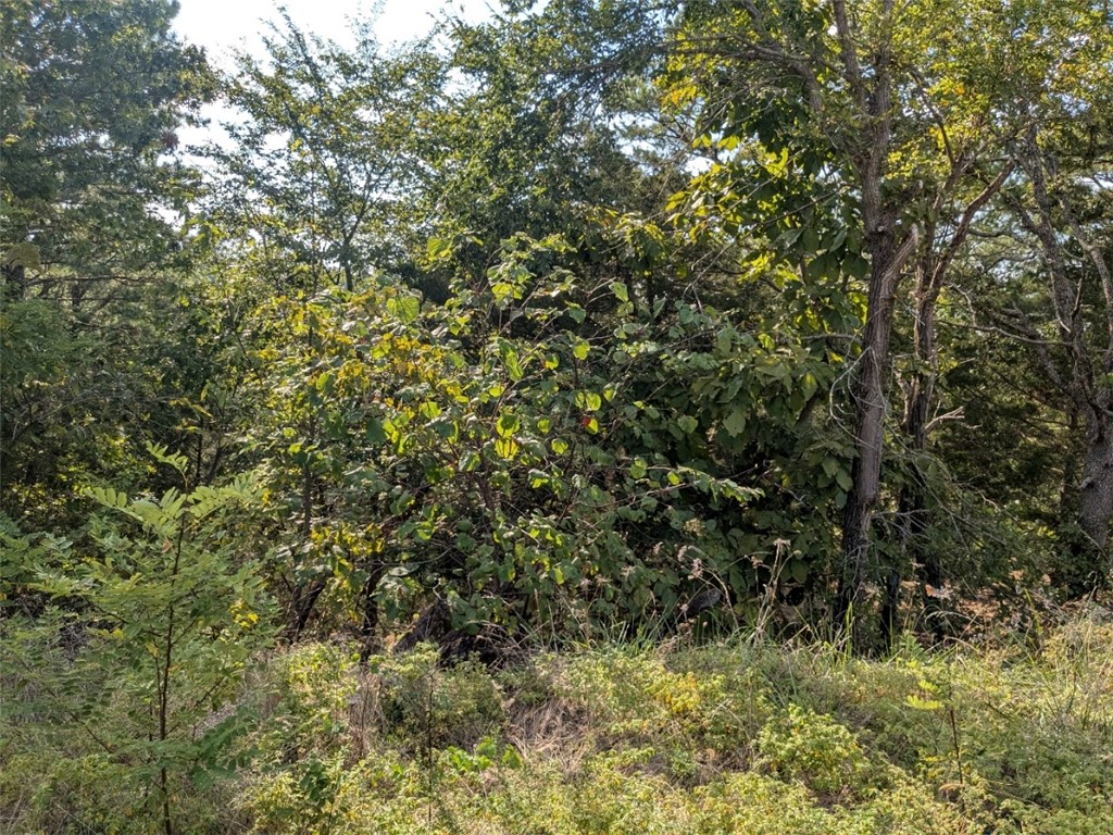 Unit 8 Holiday Island - Land