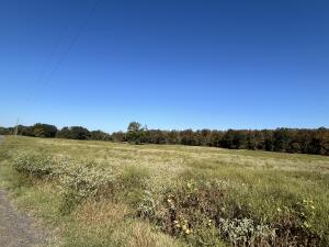 Beautiful pasture land with some trees.