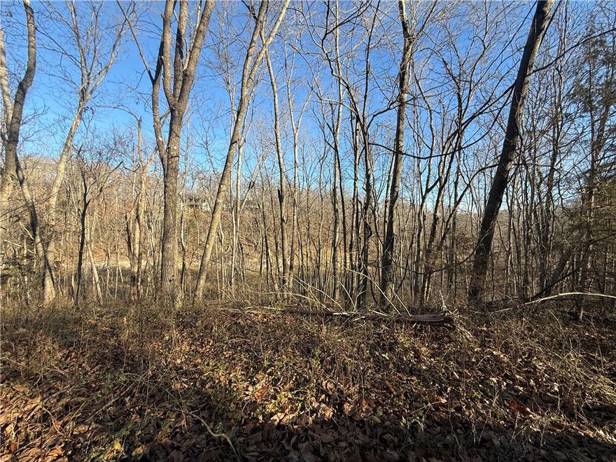 PRIME MOUNTAIN BIKE PARADISE LOT—STEPS FROM LEGENDARY TRAILS
Own a piece of Northwest Arkansas’ outdoor revolution! This 0.28-acre interior lot in Belgravia Sub is perfectly positioned 1/4 mile from Lake Windsor Pavilion Park and just 2/3 mile from Little Sugars Trailhead. Location is EVERYTHING, and this lot delivers.
The NEW OZ Trails Bike Park—NWA’s FIRST chairlift-served mountain bike park—opens summer 2026, less than 3 miles away! This $20M+ facility featuring 20+ miles of gravity trails, high-speed quad lift, dining, rentals & art installations will transform Bella Vista into an international biking destination.
 · Tunnel Vision Trail: Less than 1 mile
 · Back 40 System (40 miles): 2 miles
 · Little Sugar Trails (50 miles planned): Under 1 mile
 · Blowing Springs: Minutes away
 · Lake Windsor (220-acre all-sport lake): Walking distance
 · Bentonville Schools district
 · 15 minutes to downtown Bentonville
Build your dream home or vacation rental in America’s Mountain Bike Capital.