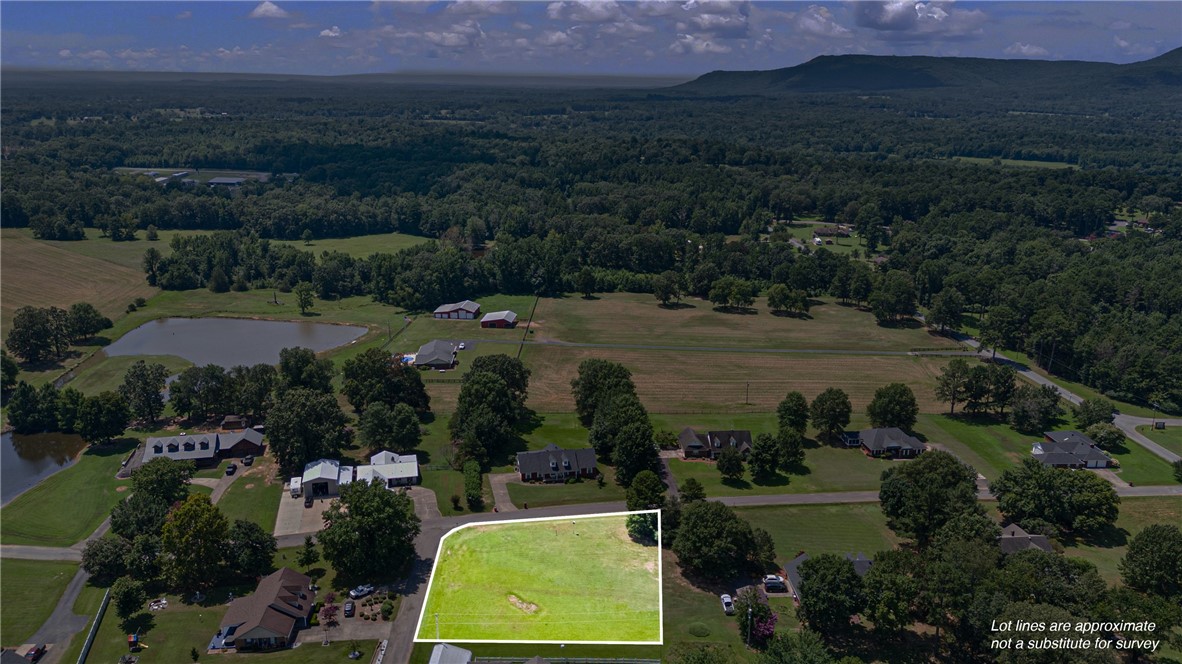 Welcome to your next opportunity in Dardanelle!
This cleared and ready-to-build lot offers a blank canvas for your dream home, investment property, or future development. Located just minutes from Lake Dardanelle, schools, and shopping, this property provides the perfect blend of convenience and potential.
With utilities nearby and no existing structures to remove, you can hit the ground running. Whether you’re a builder, investor, or future homeowner, this lot delivers space, flexibility, and a head start.