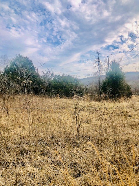 If you are looking to build, you will want this 5 Acres with paved frontage, City Water, Ozarks Electric & Ozarks Go internet all available at the street. Travel 0.08 mile off of Hwy 71 in West Fork, on scenic Mineral Springs Road (WC#30) to the only remaining lot currently available in Spring Valley Farms Subdivision. The mostly woodsy 5 acres is ready for you and your selected house plan. Existing survey and subdivision plat are attached for your Buyerās agent to reference.
