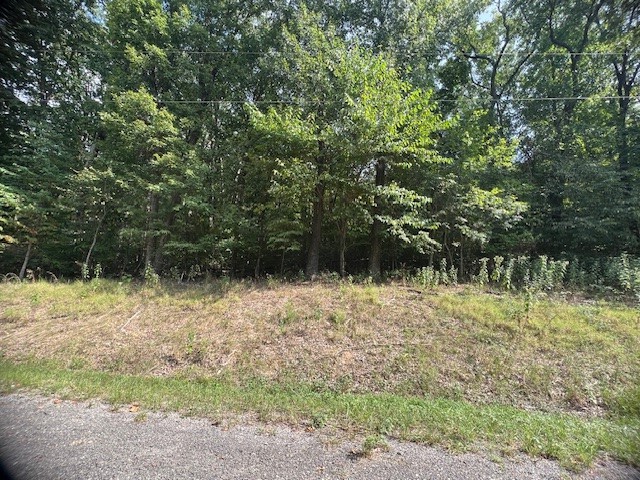 Unit 2 Holiday Island - Land