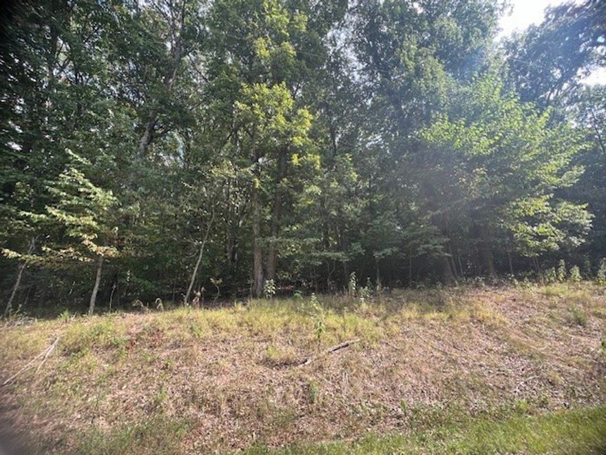Very nice half acre lot with an uphill slope at a great price.  Tree covered with some hardwoods.  Great location to build a hoe as there is only one other home on this street.  Secluded yet close to shopping and amenities.  Within a 5 minute drive to Grocery Store, hardware, banking restaurants and more.  10 minutes to amenities on the island that include marina, 2 golf courses, clubhouse, recreation center, swimming pool, pickle ball and tennis courts, parks and more.  Don't miss this opportunity to own a part of the Ozarks.