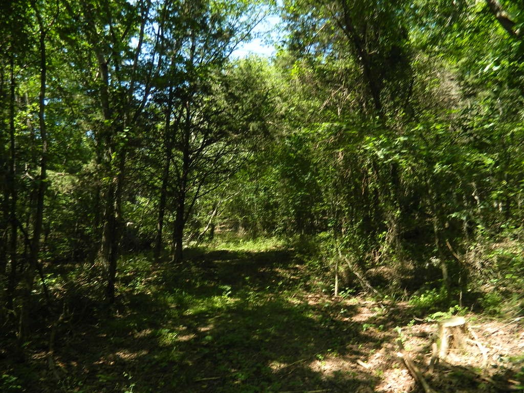 5 AC of wooded hill side with beautiful rock outcroppings, several benches and a ton of wildlife. Perfectly peaceful setting that affords privacy on paved road just minutes to town.