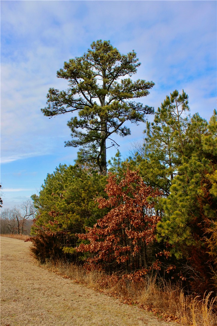 Highland Meadows - Land