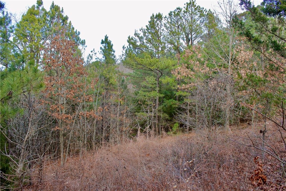 Highland Meadows - Land