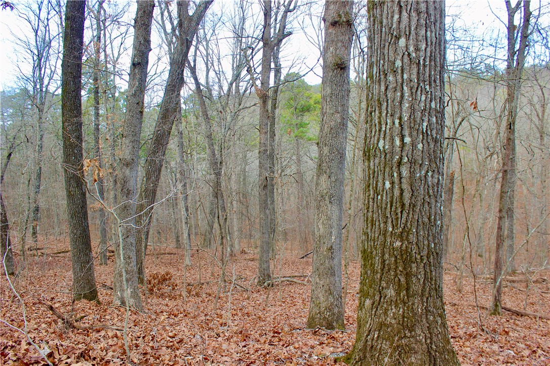 Highland Meadows - Land