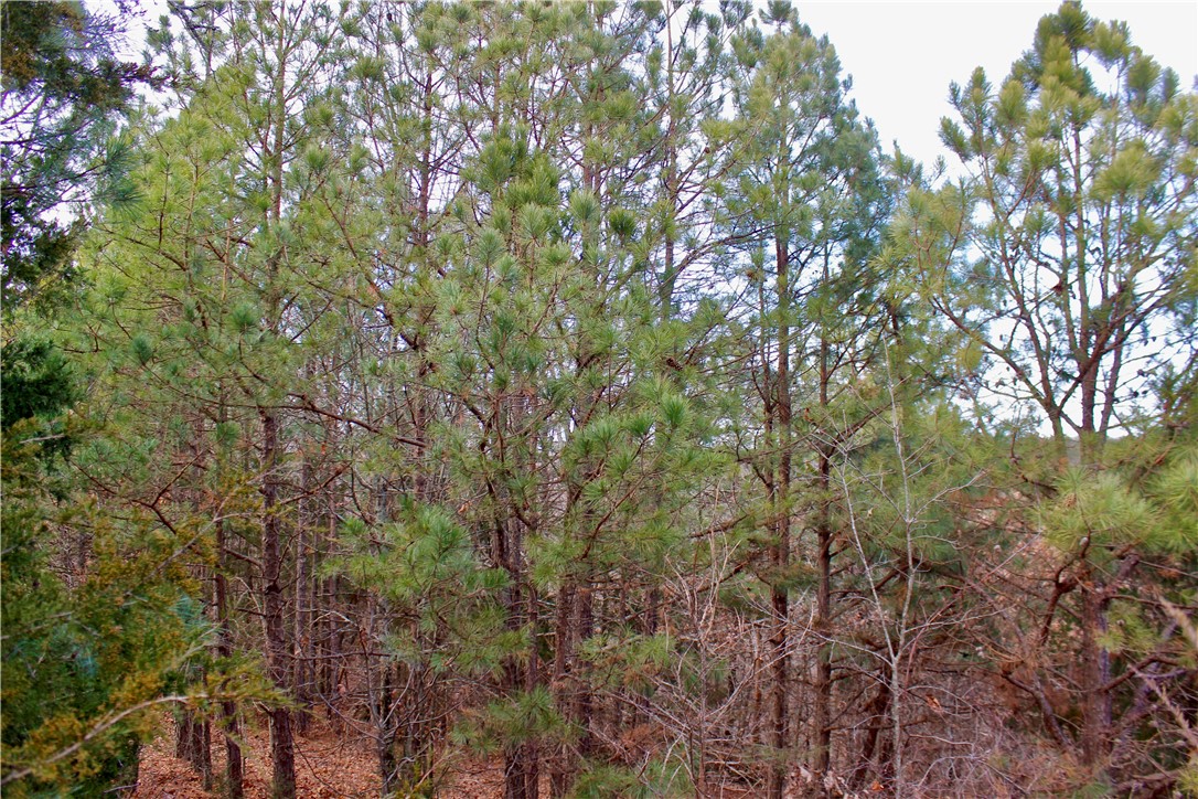 Highland Meadows - Land