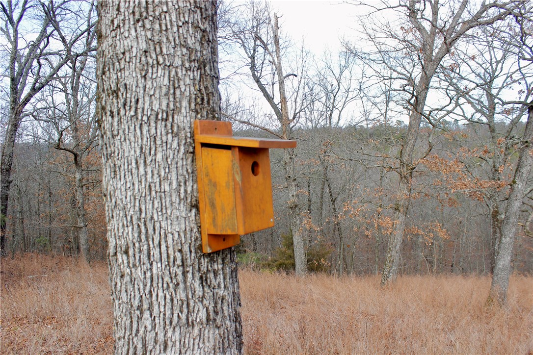 Highland Meadows - Land