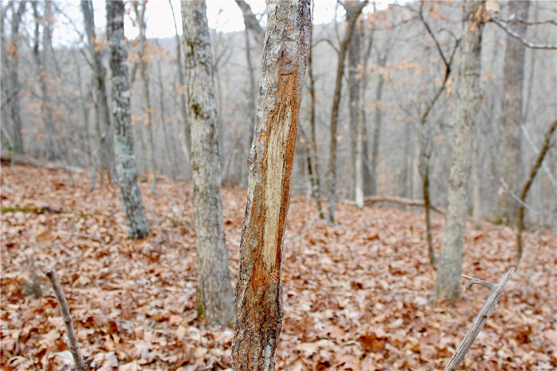 Highland Meadows - Land