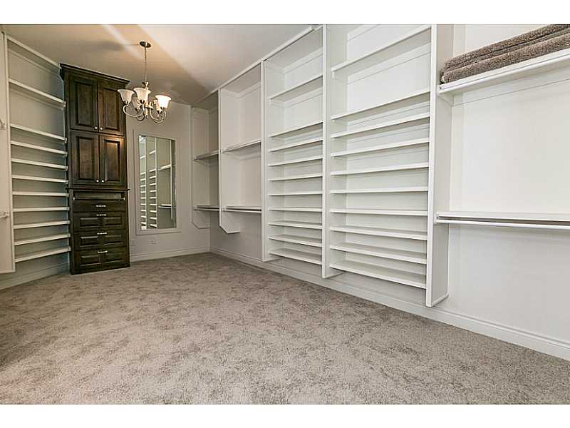 Oak Tree - Residential