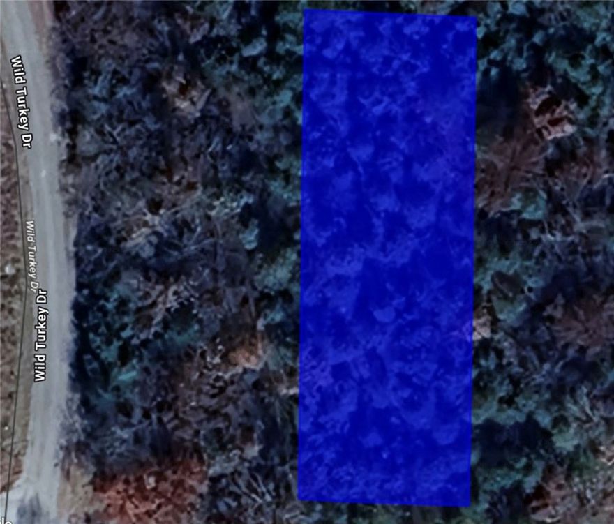 Build your dream home in the beautiful Holiday Island community! This gently sloping lot at 57 Eagle Dr offers a prime opportunity to invest in the Ozarks. Utilities including water, sewer, and electric are available at the road—buy now and build later!
Enjoy all the perks of living in a well-maintained community with access to area amenities such as golf courses, a marina, fishing, swimming, tennis courts, and more. Community restrictions in place—no mobile homes allowed. This is a perfect chance to own affordable land with great potential in a growing area.