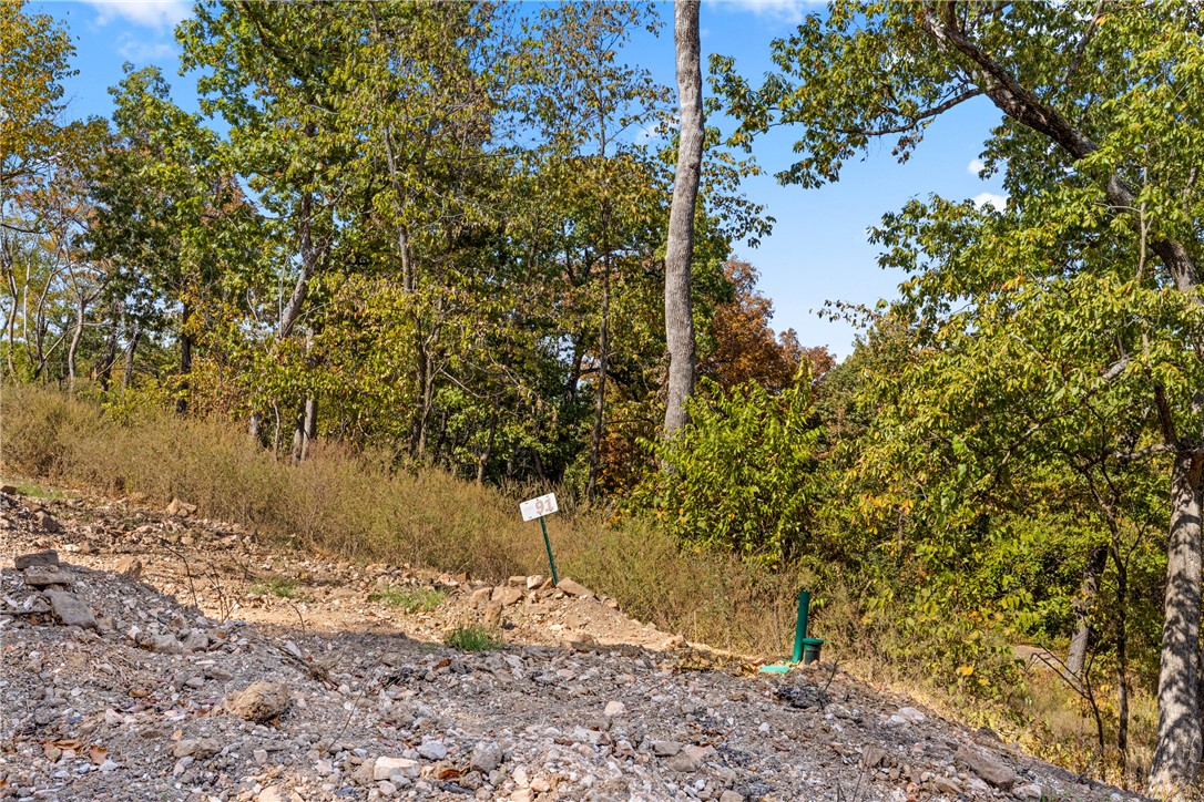 Round Mountain Estates - Land