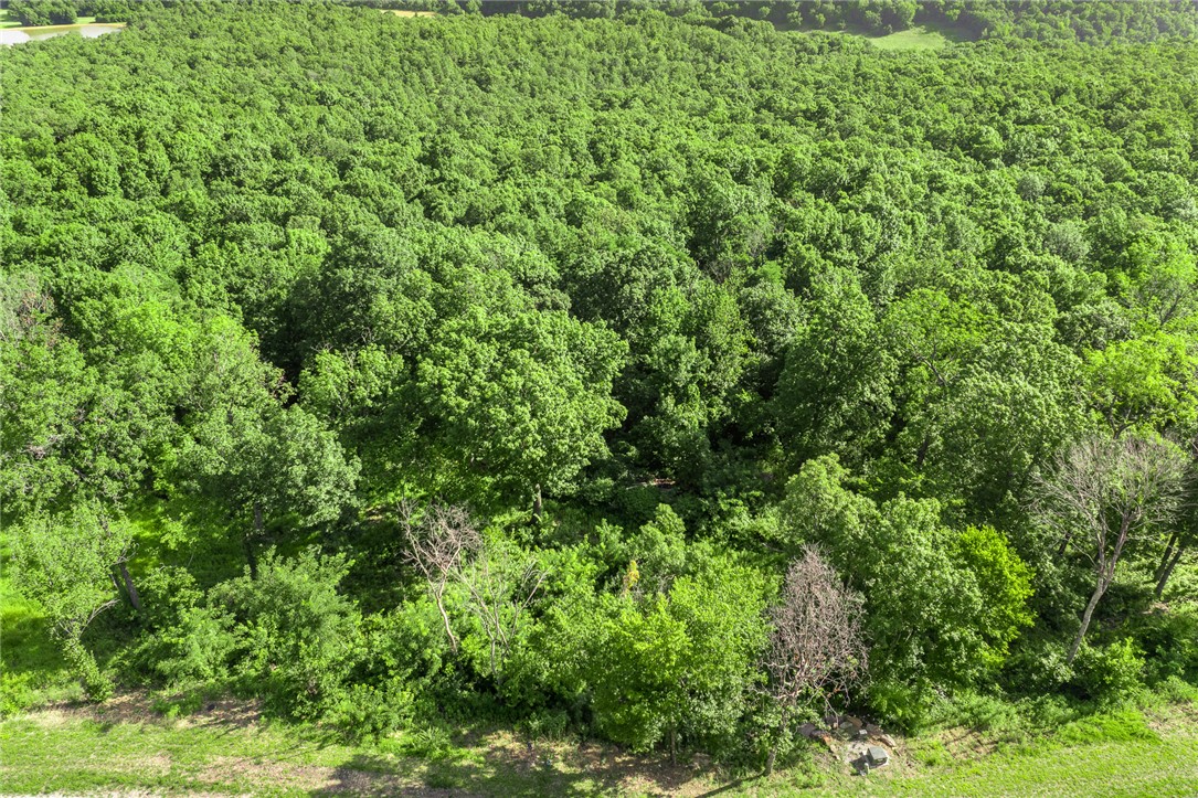 Round Mountain Estates - Land