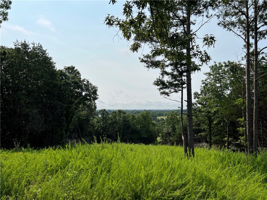 Photo 1 of 13 — N Center Loop, Harrison, AR 72601