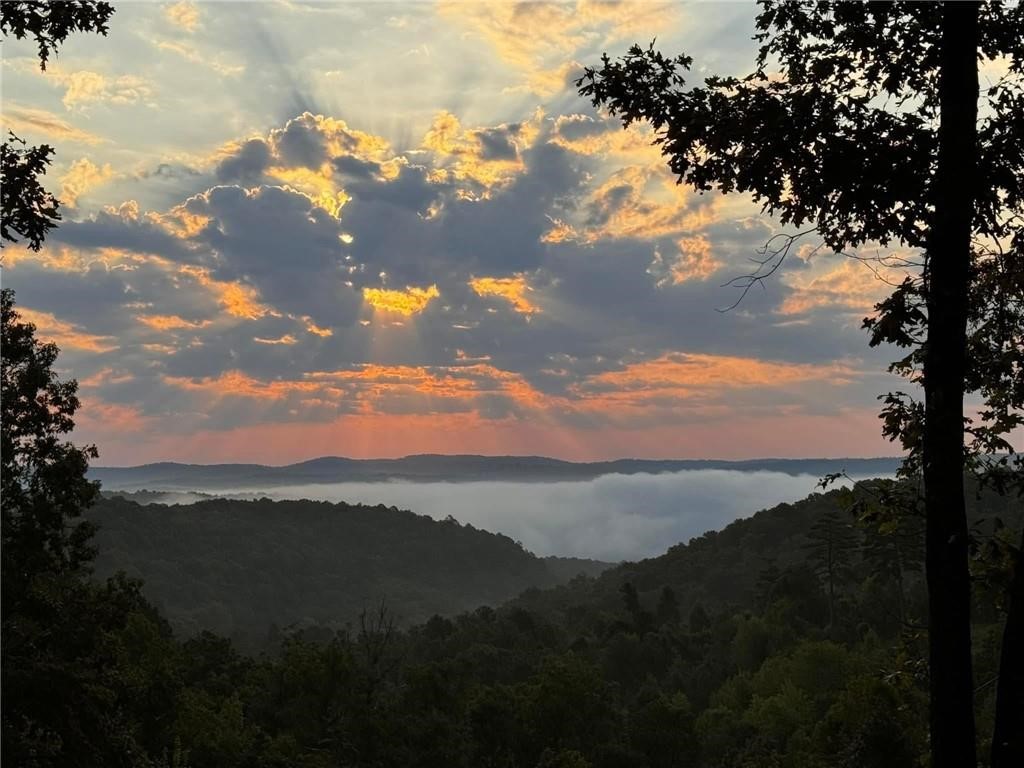 This stunning 5.5-acre property offers the perfect blend of seclusion & convenience, with direct access to the Buffalo National Forest. Situated just a half mile off HWY 14, the land is bordered by breathtaking views & features a natural spring. With electric hook-up already on-site, the property is ready for development, whether you're looking to build a cabin, weekend getaway, or a peaceful retreat. The property has recently been surveyed & perk tested. This is a rare opportunity to own a piece of Arkansas paradise, with endless possibilities for adventure right outside your door. Whether you're seeking a private escape or a place to create lasting memories, this land has it all. Enjoy easy access to local landmarks & outdoor activities, including Dillard's Ferry, Grey Springs, & Wild Bill Outfitters. For those who love hiking & exploring, this property offers a short hike to Salt Peter Cave & is within reach of Mirror Bluff & Water Creek.