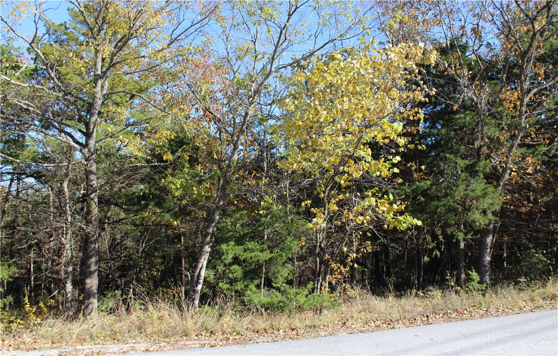 2 Lovely lots on desirable Table Rock Dr. Lot 46 could also be accessible from Oak Ln below. Lots of beautiful hardwoods, rock ledges and level build sites to build your Ozark dream home! Table Rock Dr. is central to just about everything Holiday Island has to offer including the marina, golf courses, swimming pools, tennis courts, club house, rec center, trails etc. Take a look at these beautiful lots and envision yourself living your best life here on Holiday Island.