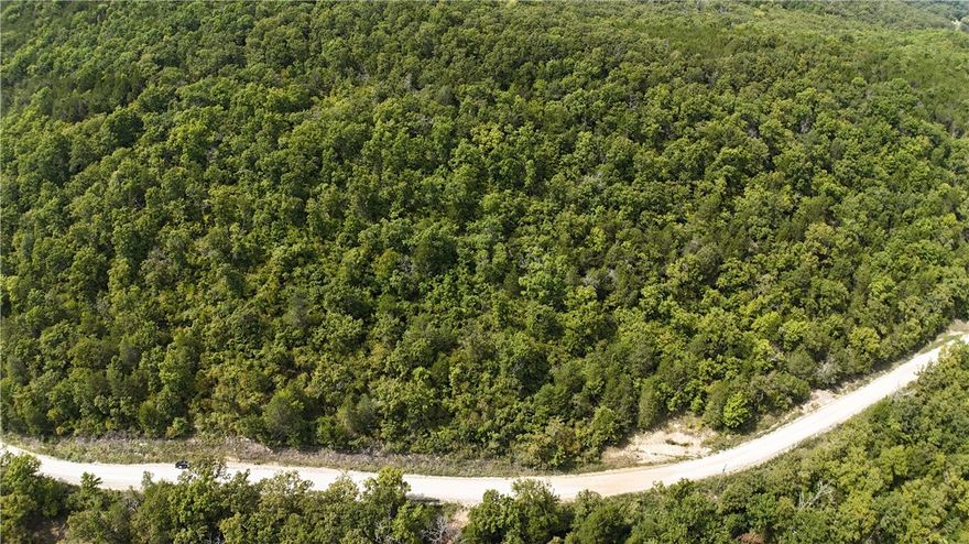 If you are looking for seclusion, this is it! Just 15 Miles South of Flippin! On A maintained county road. Close to the World Famous White River and National Forest/Great fishing, hunting and privacy in the Ozarks. You can be at the Flippin Walmart in 20 minutes. Mountain Home in 35 minutes and great shopping and medical care. Don't miss this one! This one will not last at this price!!!