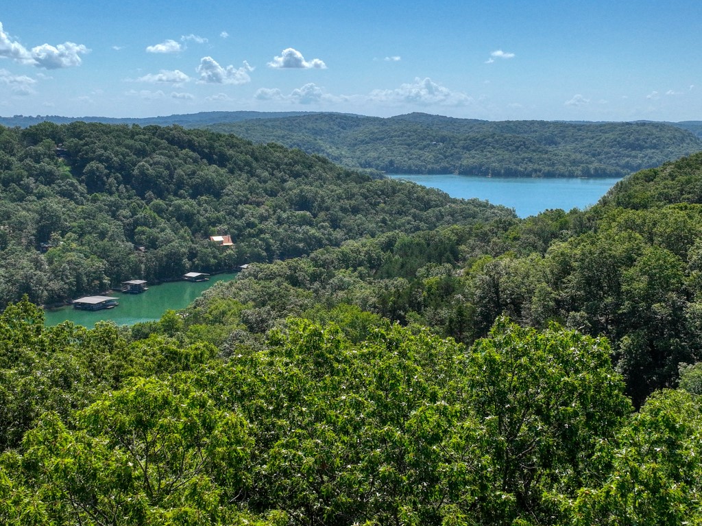 This nice, 3.8 acre, end-of-point lot would be a great location for a cabin or home! With some selective clearing, you will be able to see more of the valley, hills, and Beaver Lake below. Situated not far off of the paved road, this is a private setting yet still allows quick access to Mundell Road. Electricity is not far from the building location, Starkey Marina is only a few miles away, and Eureka Springs is 15 minutes away!