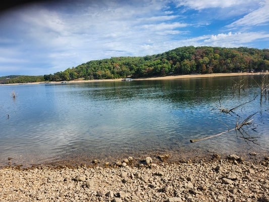 CEDAR FOREST DR, GARFIELD, AR 72732 - Image cb7a997ec9dcf77eb23f149b5b997ff3/2204409757