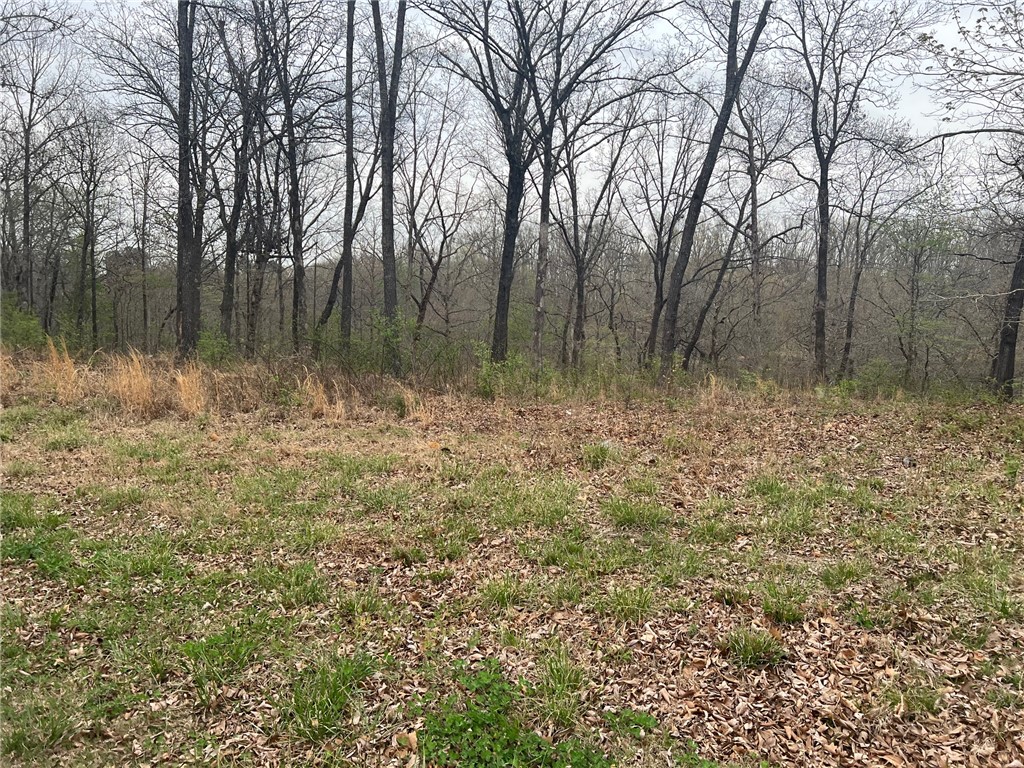 Norfolk Sub Bvv - Land