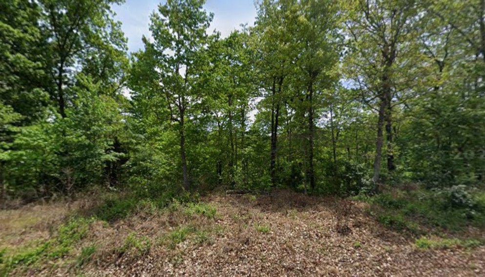 Norfolk Sub Bvv - Land