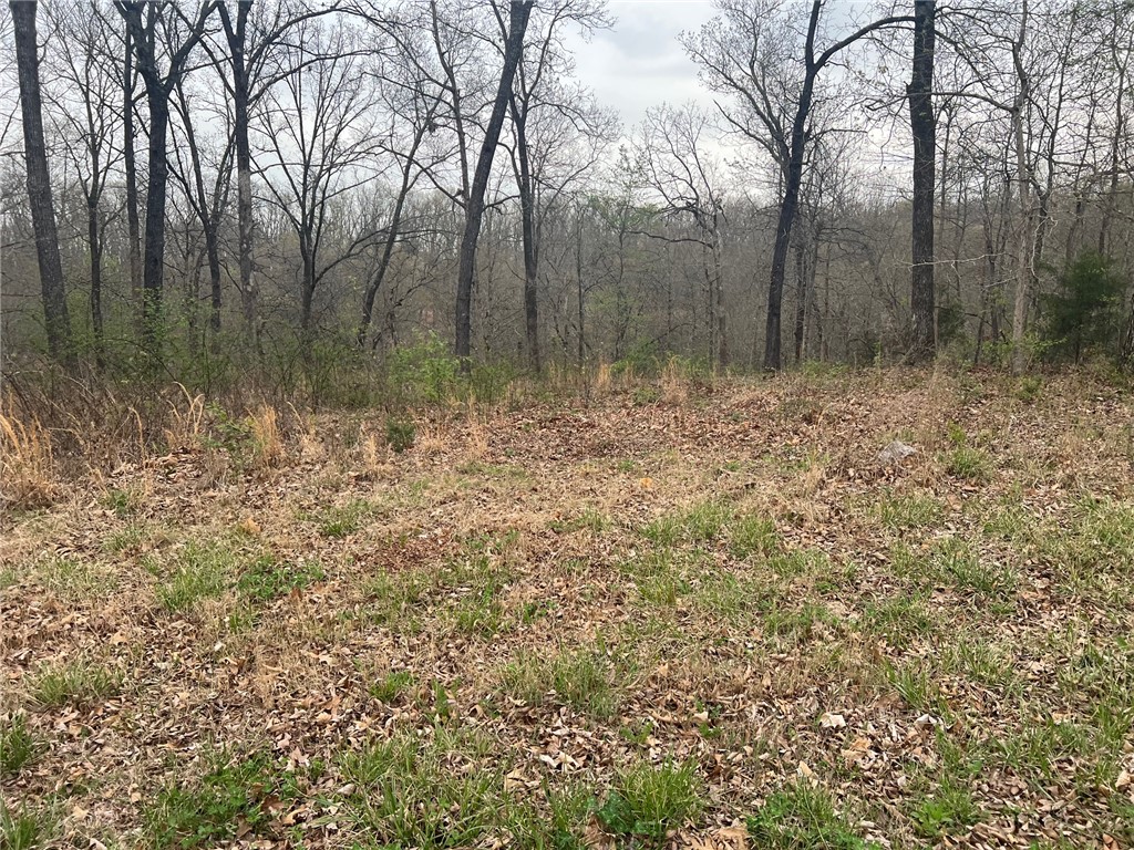 Norfolk Sub Bvv - Land