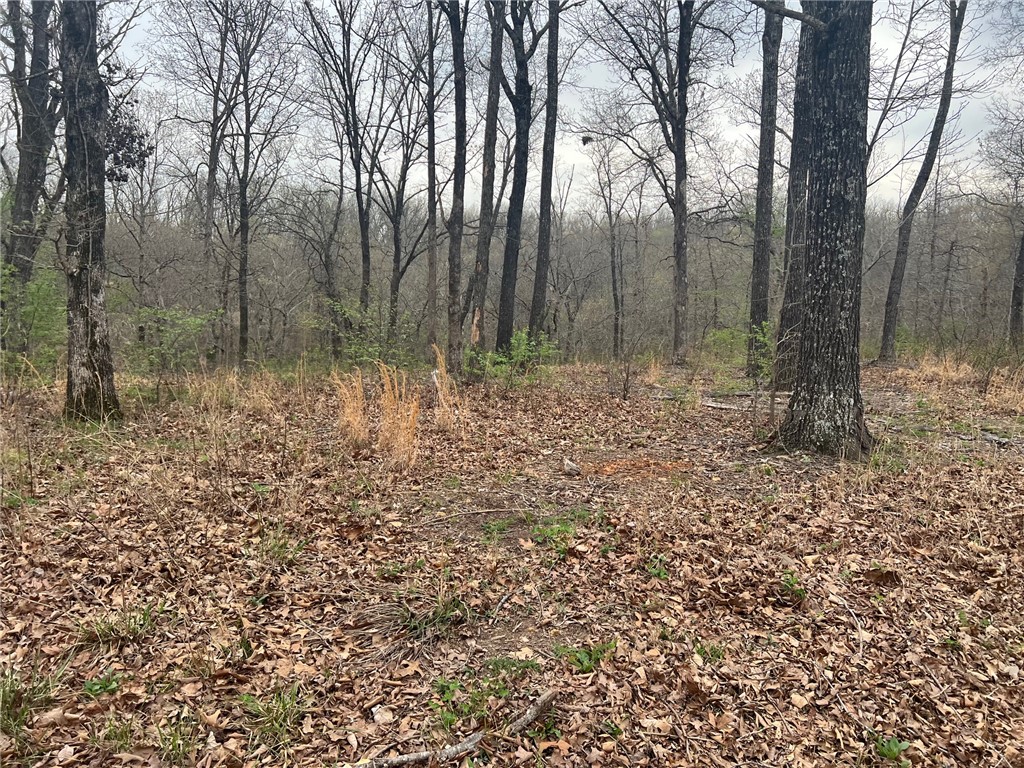 Norfolk Sub Bvv - Land