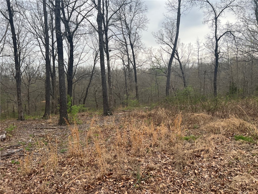 Norfolk Sub Bvv - Land