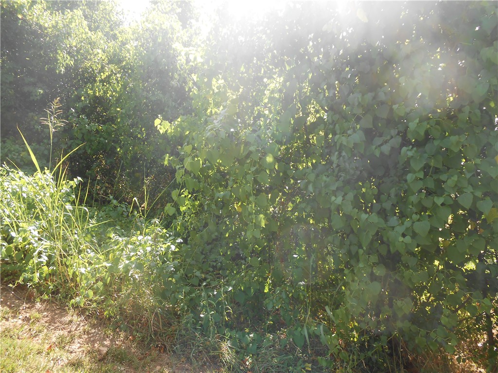 Wooded Recreation land. SOLD BEFORE PRINT.