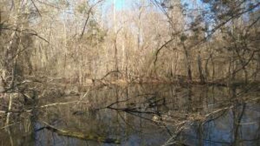 This is 37 acres m/l of vacant land.  There is a pond located on the property. This land in Green Forest School District could have many uses. Come see it today.