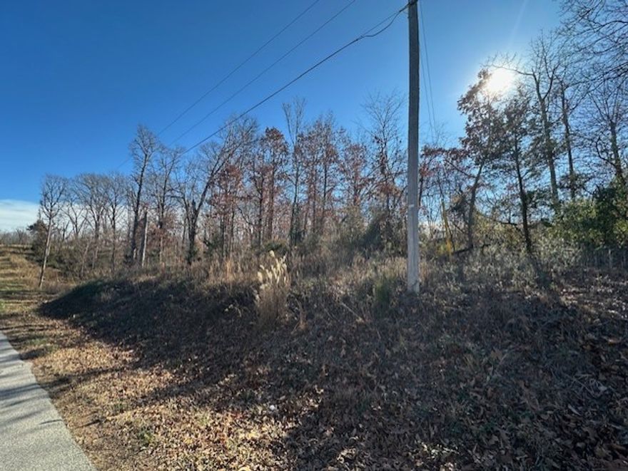 Wonderful .34 acre lot located on the west side conveniant to Hiwasse. This  lot has a private setting with no neighbors to look at, but also conveniant! The owner also has a second lot available ... MLS #1332635 this other lot is not too far from this listing.