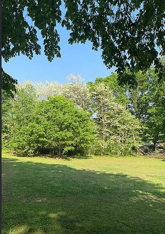 34-17-26 HUNTSVILLE CITY - Land