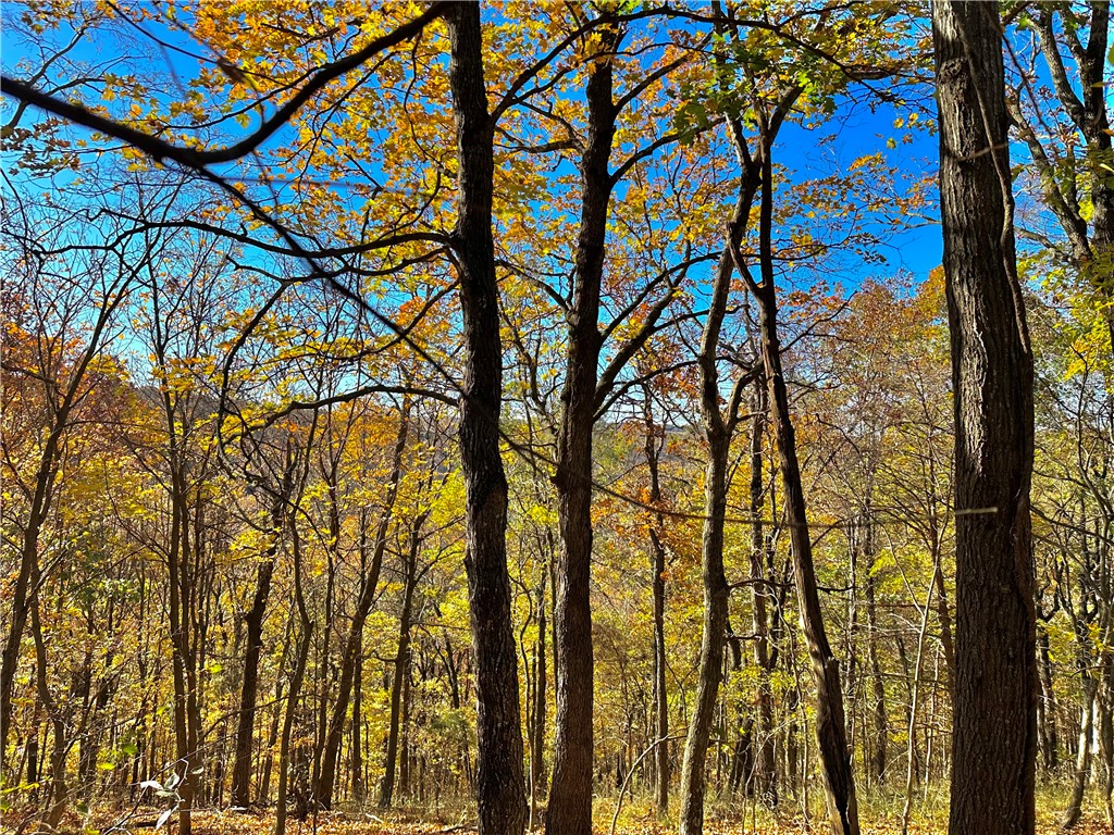 Unit 2 Holiday Island - Residential