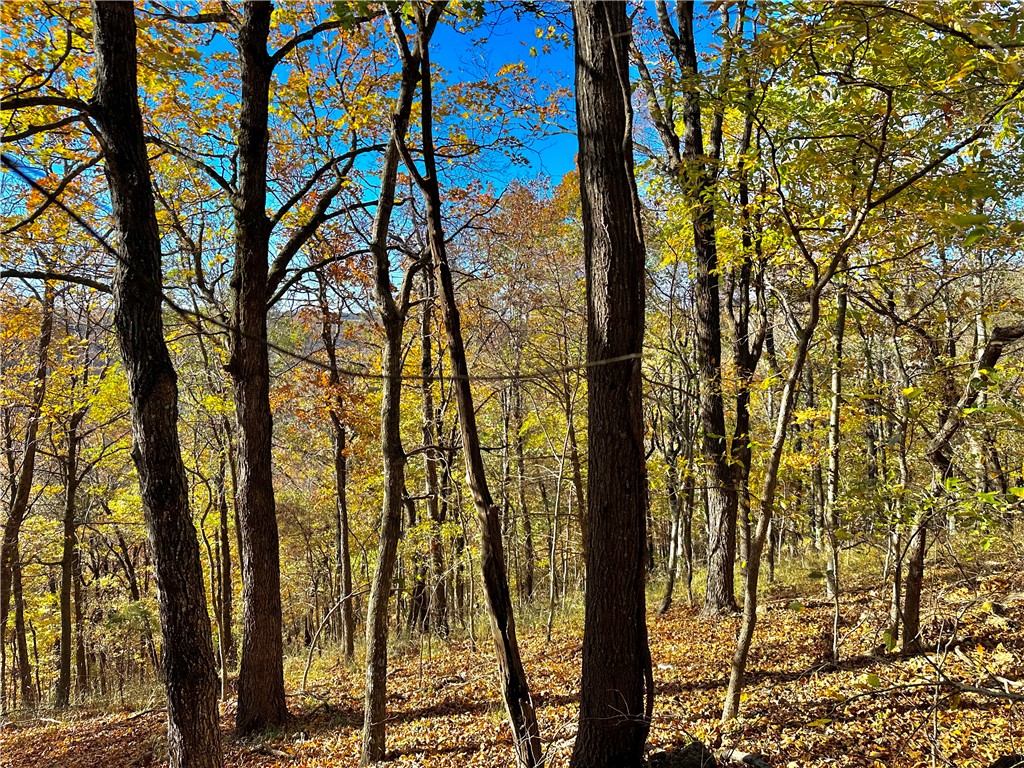 Unit 2 Holiday Island - Residential