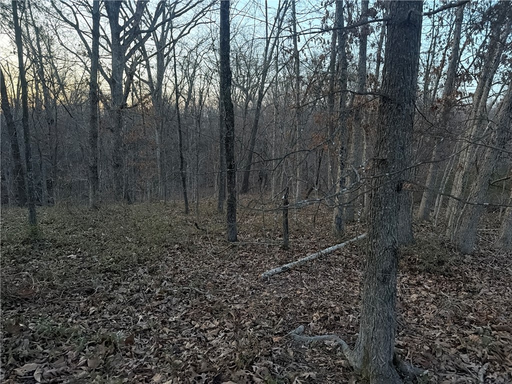 Latheron Sub Bvv - Land