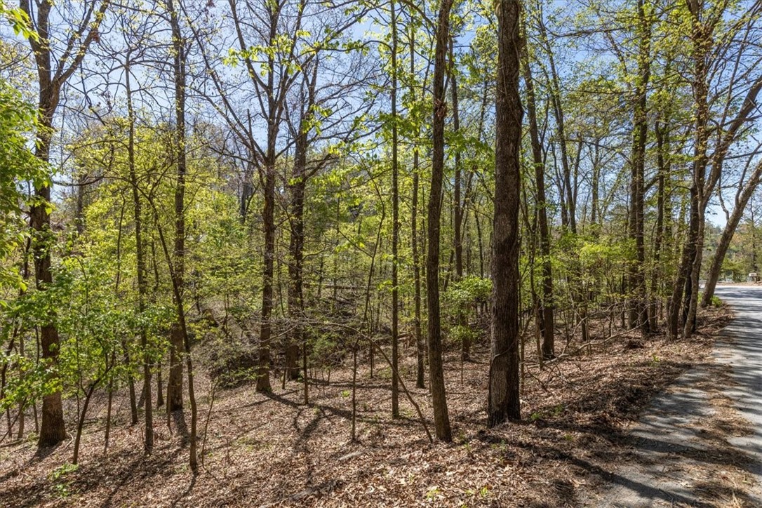Oak Bluff Summit Rurban - Land