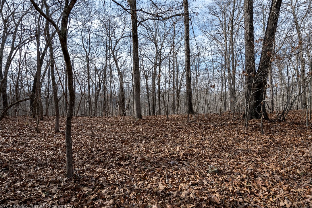 East Ridge Sub Bentonville - Land