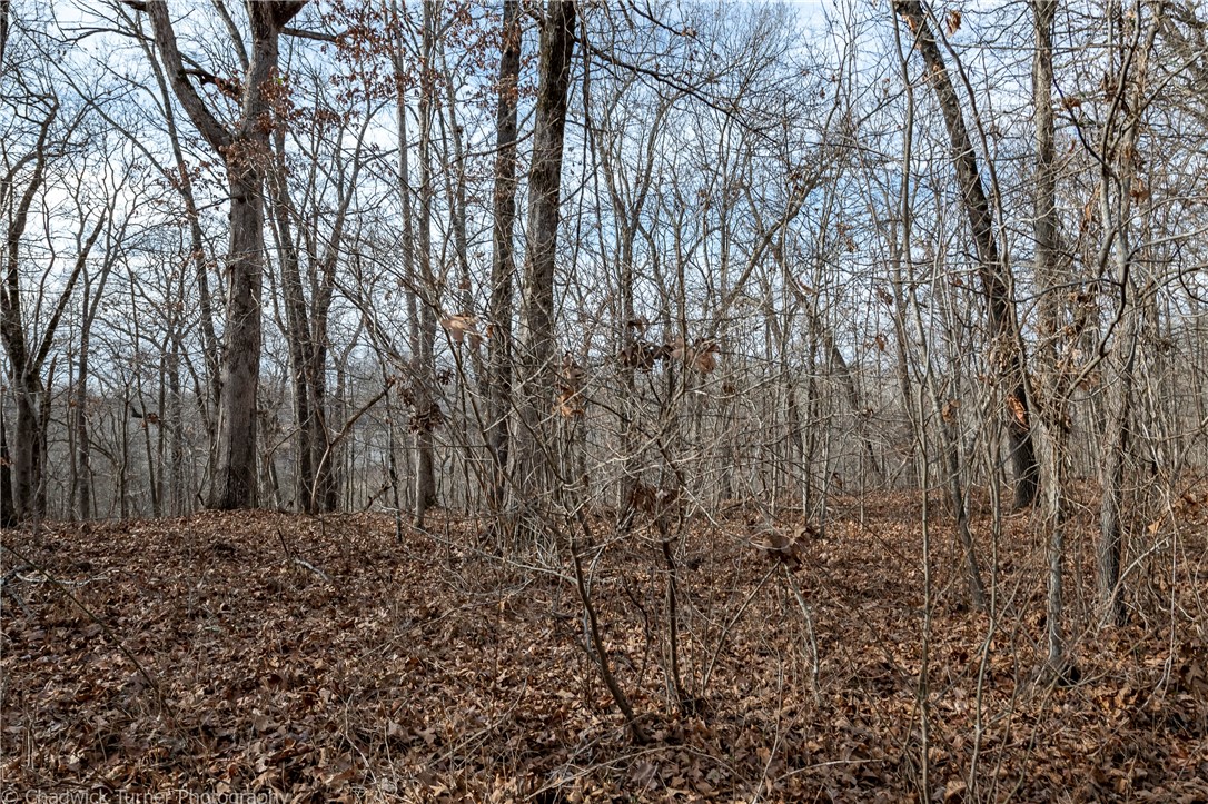 East Ridge Sub Bentonville - Land