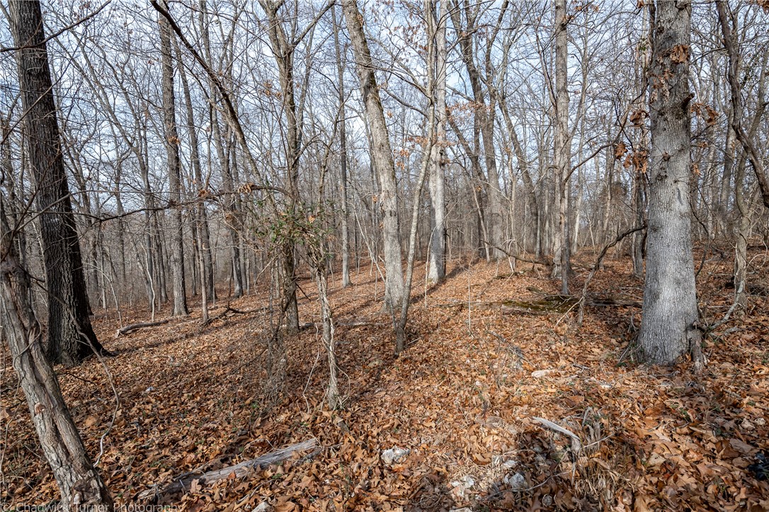 East Ridge Sub Bentonville - Land