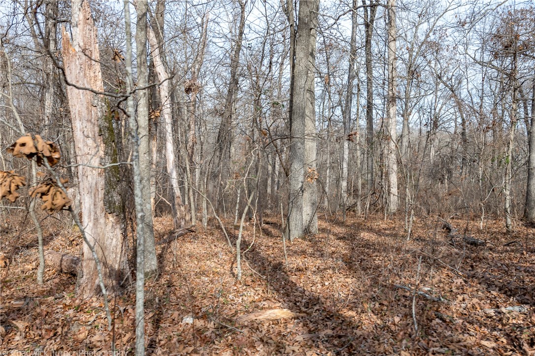 East Ridge Sub Bentonville - Land