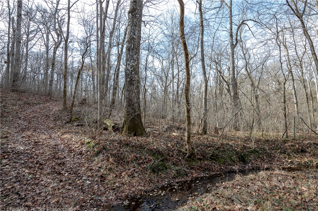 East Ridge Sub Bentonville - Land